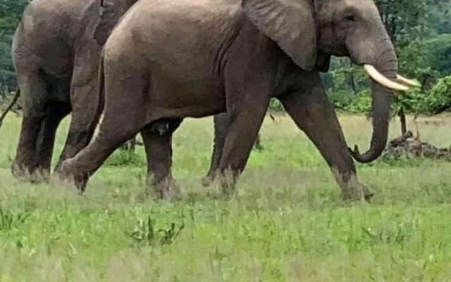 Lodge B Mawira