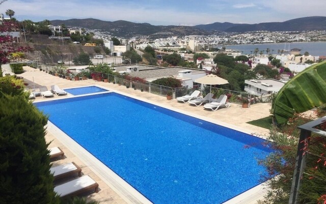 BO039 Bodrum