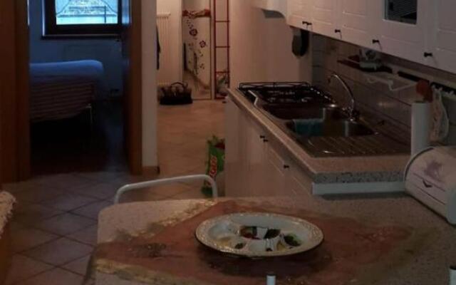 Le betulle - 022147-AT-050930