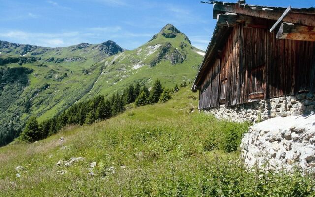Sunlit Apartment Near Ski Area In Leogang