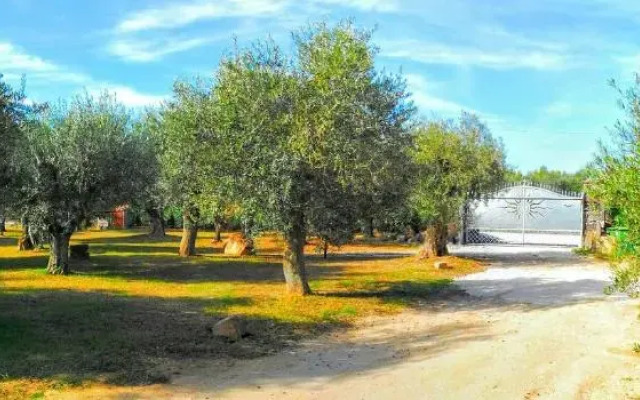 Il Paradiso degli Ulivi Apartments