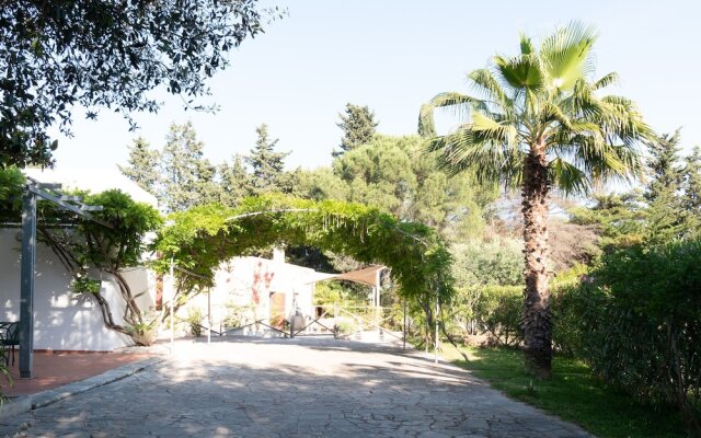 Villa Tiella e Casa Frisa - Shared Pool