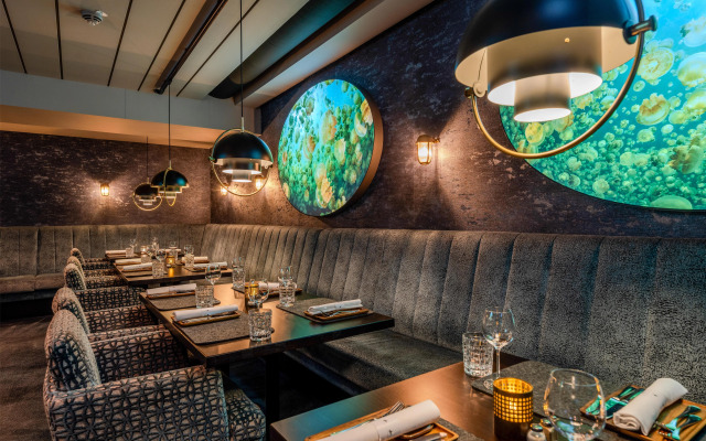 Radisson Blu Senator Hotel