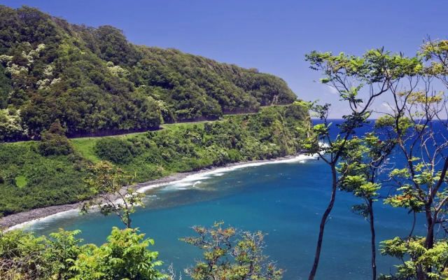 Napili Shores E240