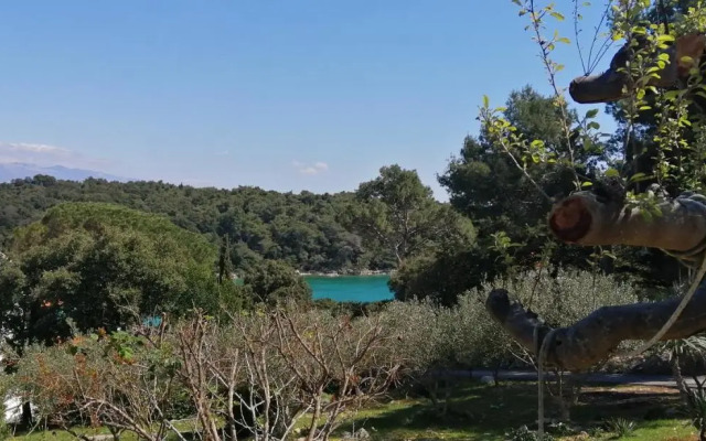 Milijana Apartments Rab
