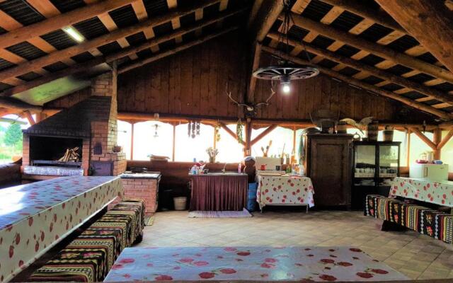 Casa de Vacanta Silvia