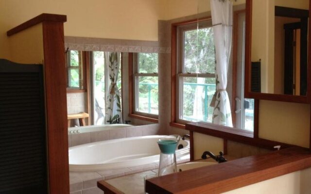 Volcano Big Tree Sanctuary