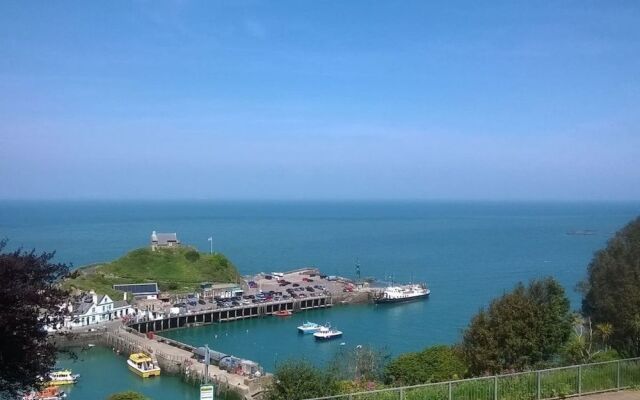 Hollies and Ilfracombe Harbour View