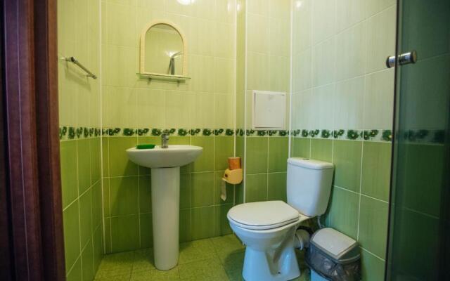 Apartments in Polyana