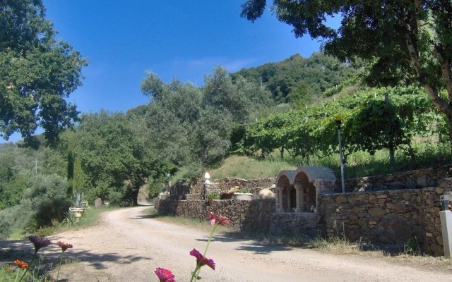 Tenuta Mauri - Agriturismo Vota