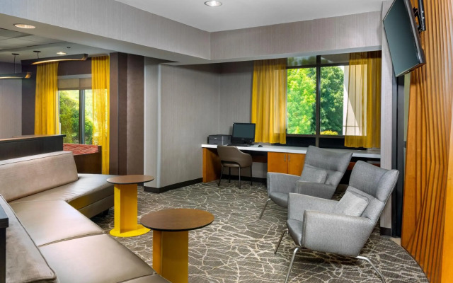 SpringHill Suites by Marriott Asheville