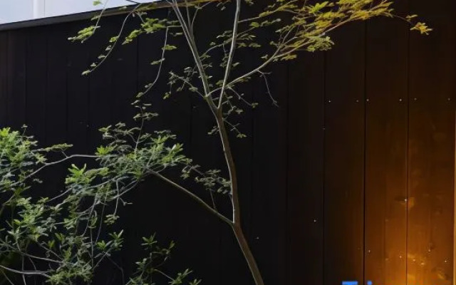 Rinn Hanayacho Asagiri