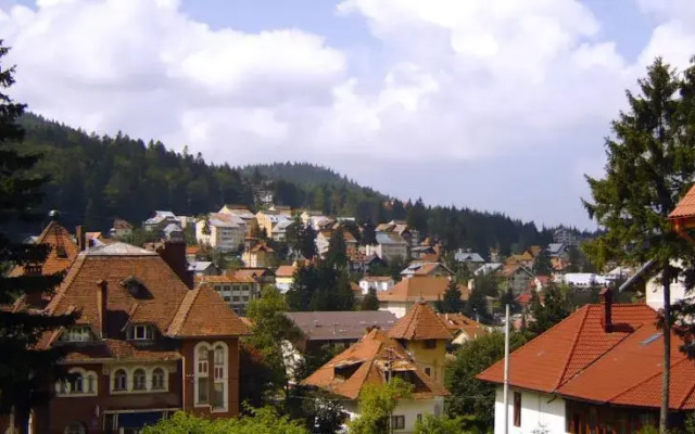 Transylvanian Villa