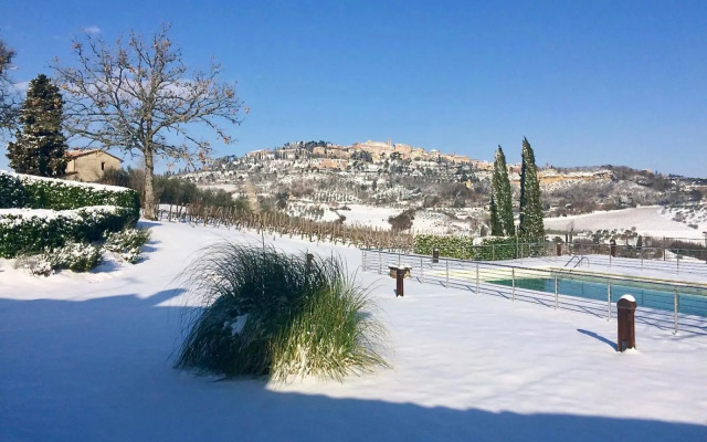 The Grapevine by MANVI