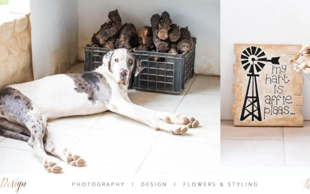 Sipreslaan Selfsorg Gastehuis