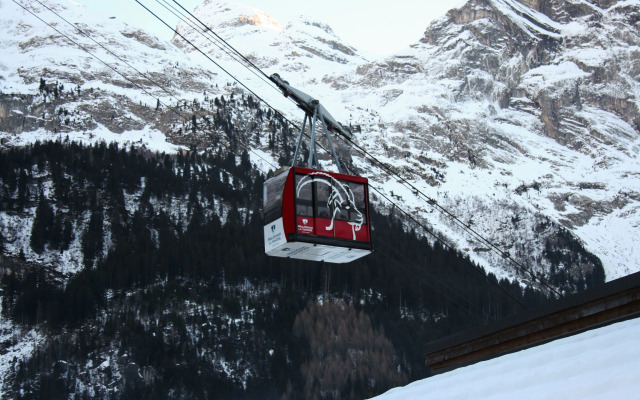 Ternelia - Le Telemark