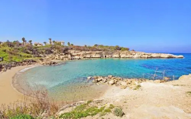 Villa Palm