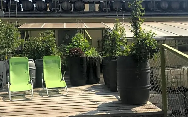 Wiener Gäste Zimmer