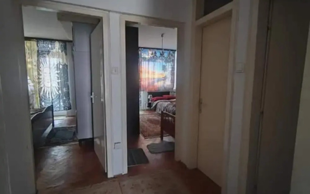 Apartment Korzo