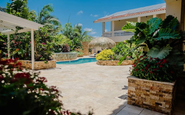 Modern 1-bedroom-apartment 2 km From Eagle Beach