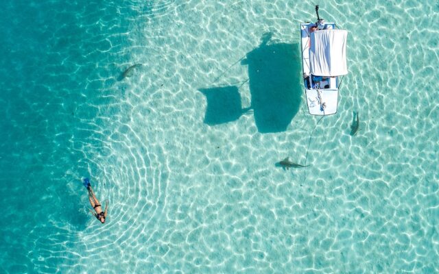 Robinson's Cove Villas - Deluxe Wallis Villa