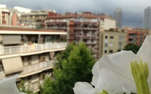 Freemove Sardenya