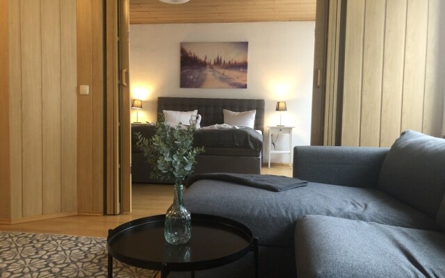 Chalet & Apart Fichtelberger - Blick