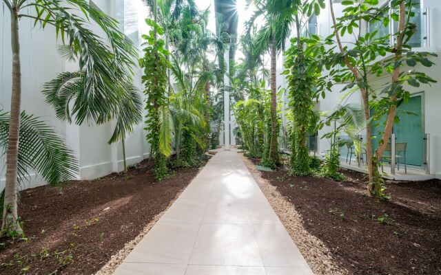 Mujeres Bailando by NAS