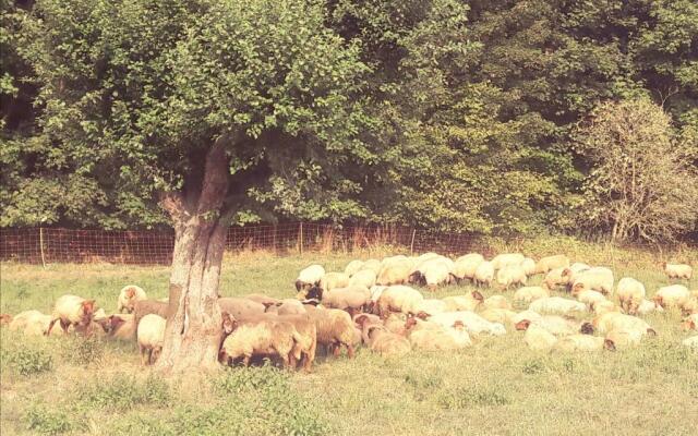 Villa Waldallee - Ferienwohnung (holidayhome) 84qm