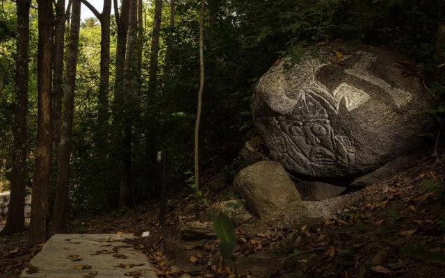 Villa Maria Tayrona, Jungle and Sea Experience