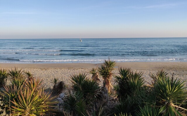 Studio Naturiste Design