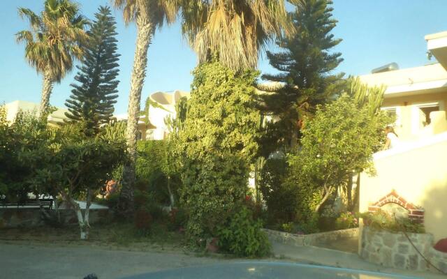 Afentoulis Studios