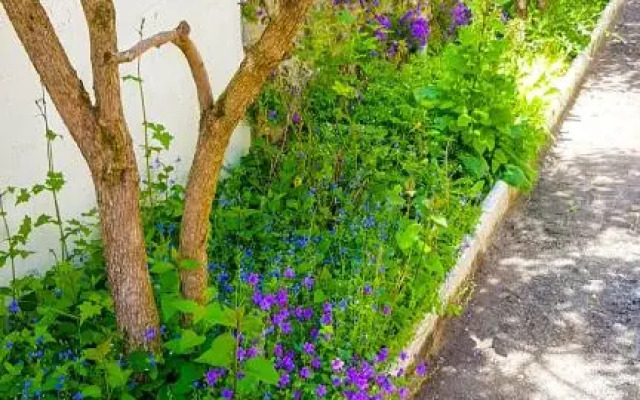 VILLA REIALA Chaville