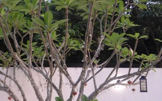 Guangzhou Conghua Joyland Homestay