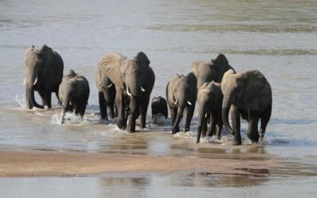 Kiboko Safaris Camp