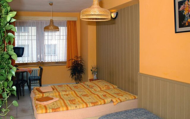 Penzion a restaurace U Třeboňského kola