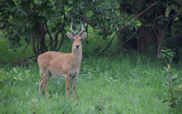 Mawimbi Bush Camp