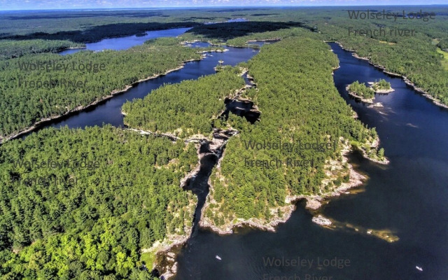 Wolseley Lodge