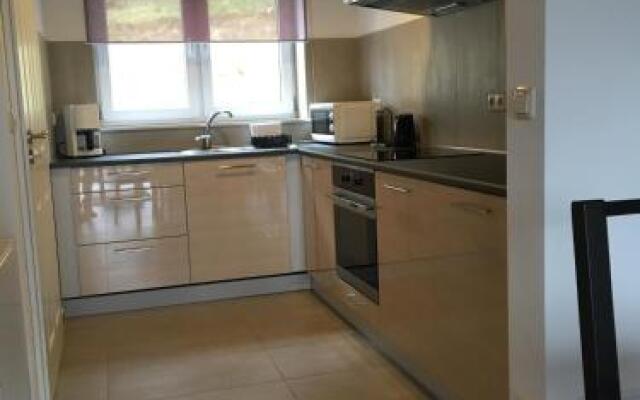 Lesny Apartament