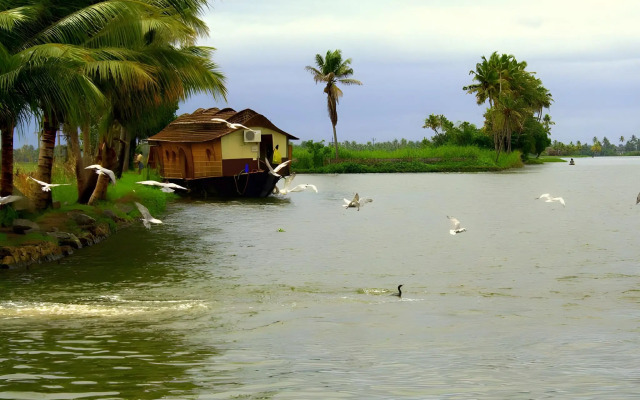 Sunny Days Homestay Alleppey