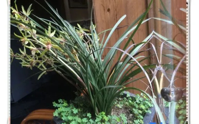 Sanlitang Inn Hongcun Village