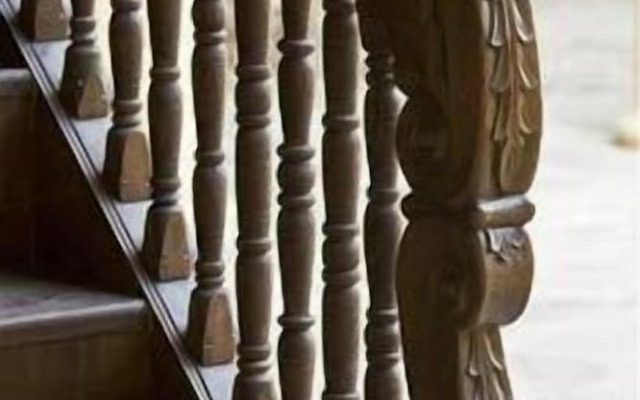 Anemon Kula - Special Class