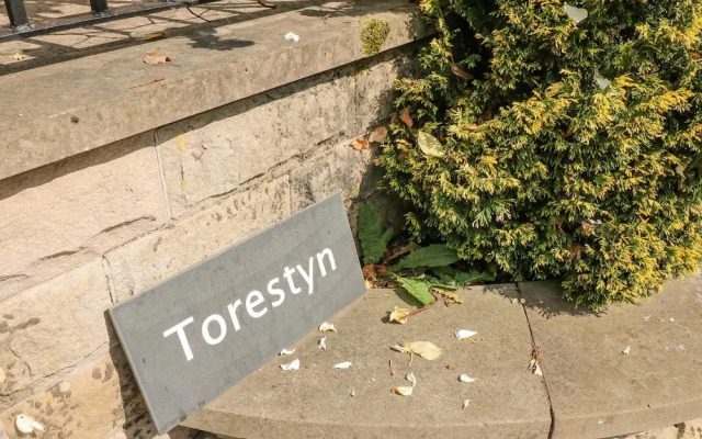 Torestyn