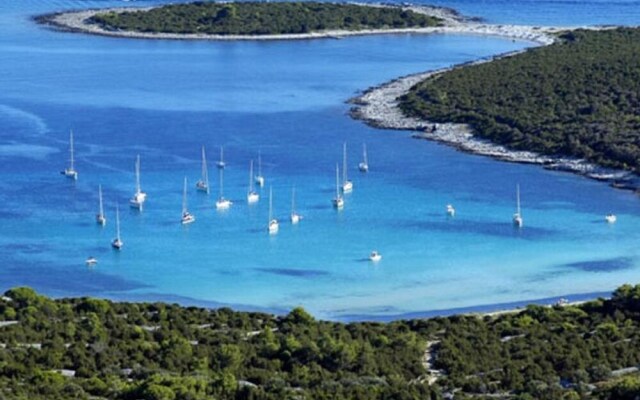 Apartment Ana - Zaglav Dugi Otok