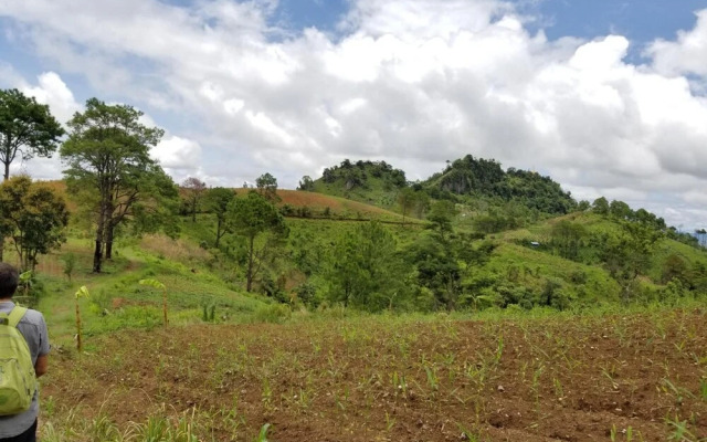 Kalaw Vista Bed & Breakfast