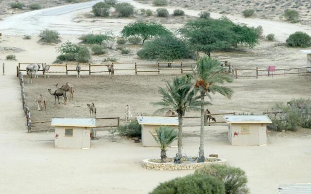 Negev Camel Ranch