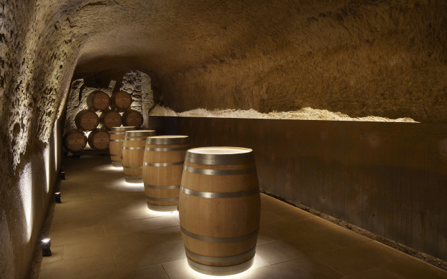 Palacio Tondon, La Rioja Brinas