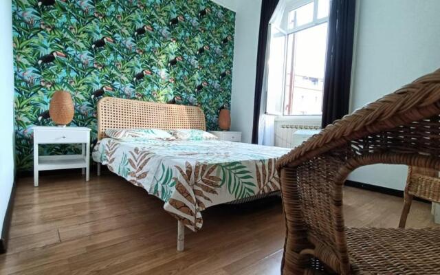 Colosseo Kokedama rooms