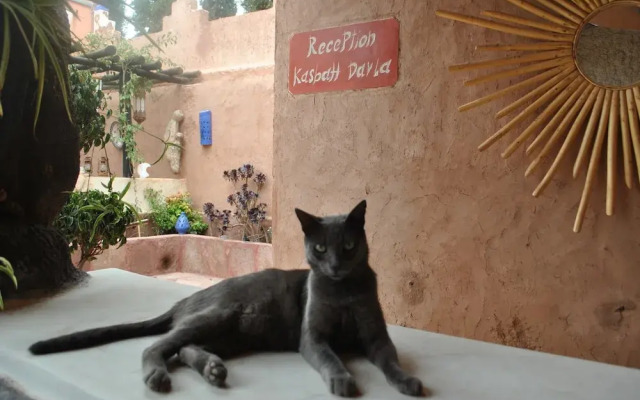 Auberge Kasbah Darla