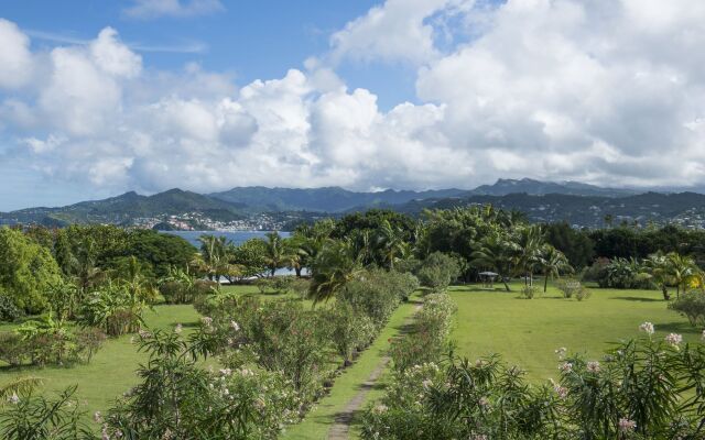 Mount Cinnamon Grenada